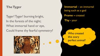 The Tyger Poem Ppt Worksheets And Activities For Ks2 Teaching Resources