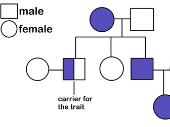 IGCSE Edexcel Biology chapter 18 revision notes