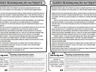 Guided Reading: Macro Nutrients