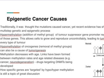 Effect of Epigenetics on Cancer (causes + treatments)