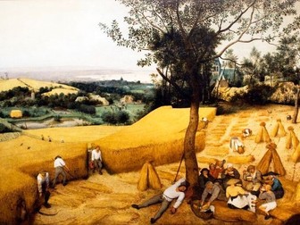 Tudor Economy and Society Booklets - AQA 1C Tudors