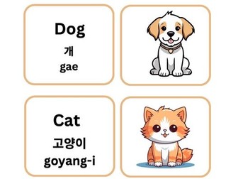 Bilingual English and Korean Flashcards (250 Words and 10 Topics)