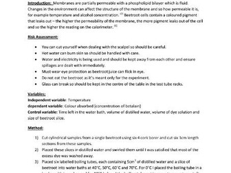 Core practical 3: Investigate effect of temperature on membrane permeability A-Level Biology