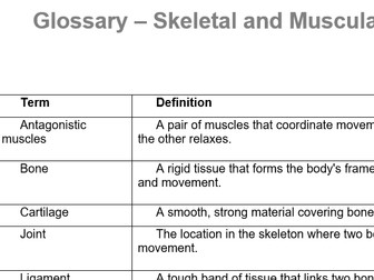 Glossary - Skeletal and Muscular System