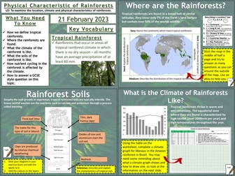 Physical Characteristics of Rainforests