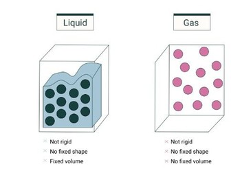 Year 7 Science Worksheet; Topic-States of Matter