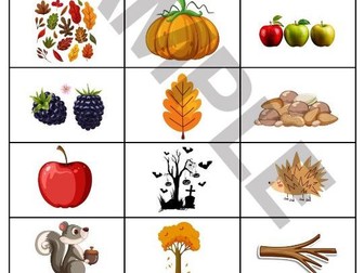 Autumn / Fall Bingo - Whole Class set