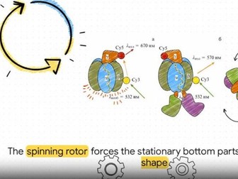 Cellular Respiration Educational Video | Middle School Science