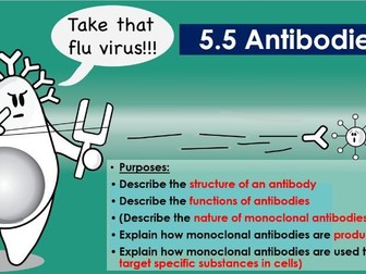 AQA A level 5.5 - Antibodies (incl. monoclonal)