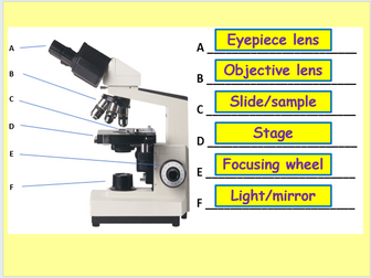 AQA Biology Unit 1 - L6 Microscopes