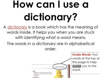 'How to use a dictionary' Poster