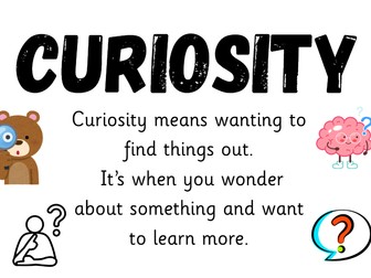 Curiosity - working wall poster for KS1
