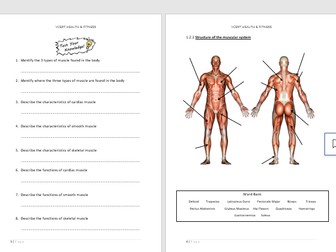 NCFE LEVEL 1/2 HEALTH & FITNESS UNIT 1.2 MUSCULAR SYSTEM PUPIL WORKBOOK