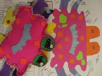 KS3 Textiles Pugly Monster Toy Design and Make