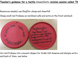 anatomy physiology tactile btec lesson revision blood unit level social care health