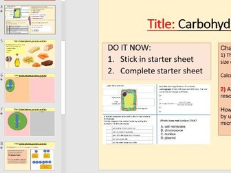 Structures of carbohydrates, proteins and lipids OCR GCSE