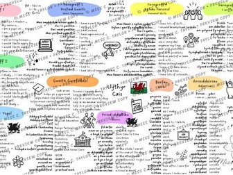 Mat Iaith - Llythyr Cais