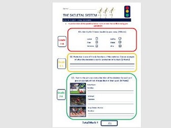 Skeletal system - levelled exam questions