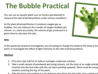 Pondweed Bubble Practical for Photosynthesis - Section 2E Edexcel IGCSE Biology (Plant Nutrition)