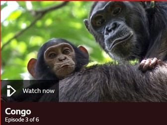 BBC Africa - Congo video worksheet and answers