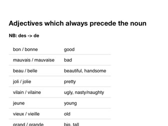 Adjectives which Precede the Noun in French