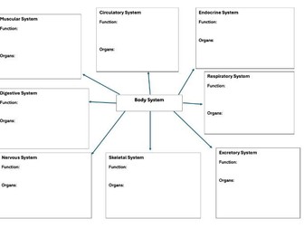 Body  System Summary Organizer