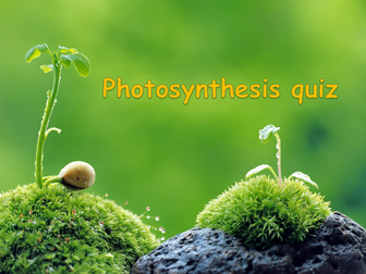 Photosynthesis quiz 10 questions