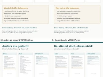 German Reading Comprehension Full | 4 Differentiated Literary Reading Stories