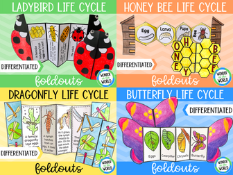 Insect life cycles foldable activity bundle