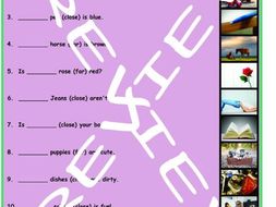 Demonstratives 3 Photo Worksheet Set