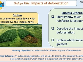 Impacts of Deforestation