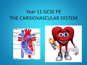 GGSE PE Circulatory System