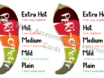 Nandos Assessment Card