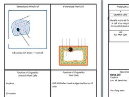 Revision flashcards for new AQA GCSE Biology (9-1( CELLS