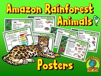 Amazon Rainforest Animals - Classification Posters