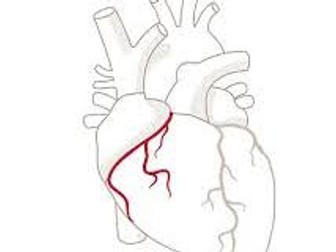 AQA GCSE PE Cardiovascular lesson bundle