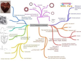 OCR A-level Biology Module 3 Mindmaps