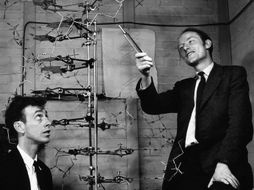 GCSE Medicine in Britain 20th Century Medicine