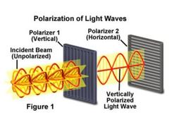 Polarization conflict definition image
