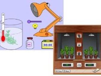 Factors affecting Photosynthesis