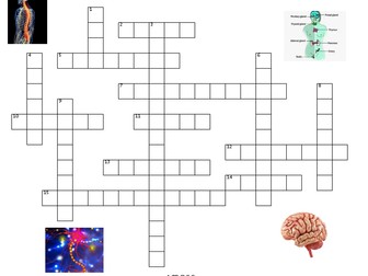 Topic 5 Homeostasis and Response AQA GCSE Crossword with answers