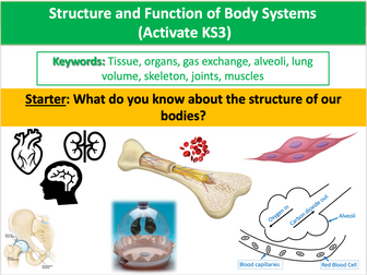 Structure and Function of Body Systems (Activate KS3)