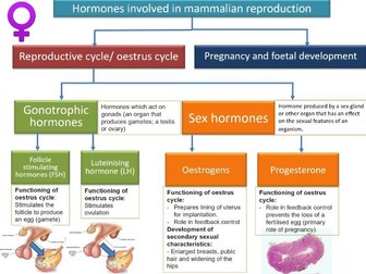 Reproduction and Hormones: fertilisation, implantation, pregnancy and birth in mammals