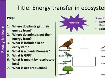 AQA Alevel Energy transfer and nutrient cycles