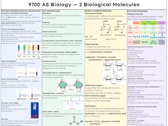AS Biology - Biological Molecules Knowledge Organsier