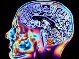 Edexcel IAL Biological Psychology Entire Unit