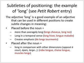 French Adjectives/Nouns Grammar