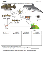 Food Web and Ecological Pyramids Worksheets | Teaching Resources