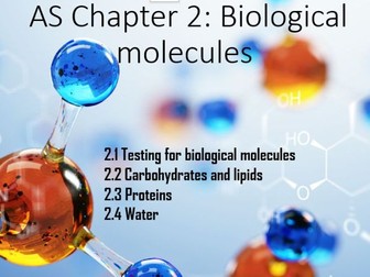 AS Biology Chapter 2: Biological molecules
