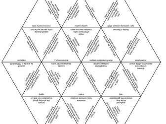 IB DP Biology Unit 6 Tarsia